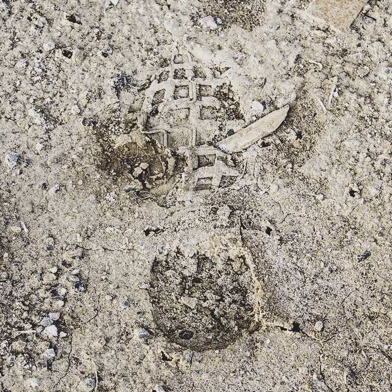 SPRINT 9-Tile Grid — Shoe Print