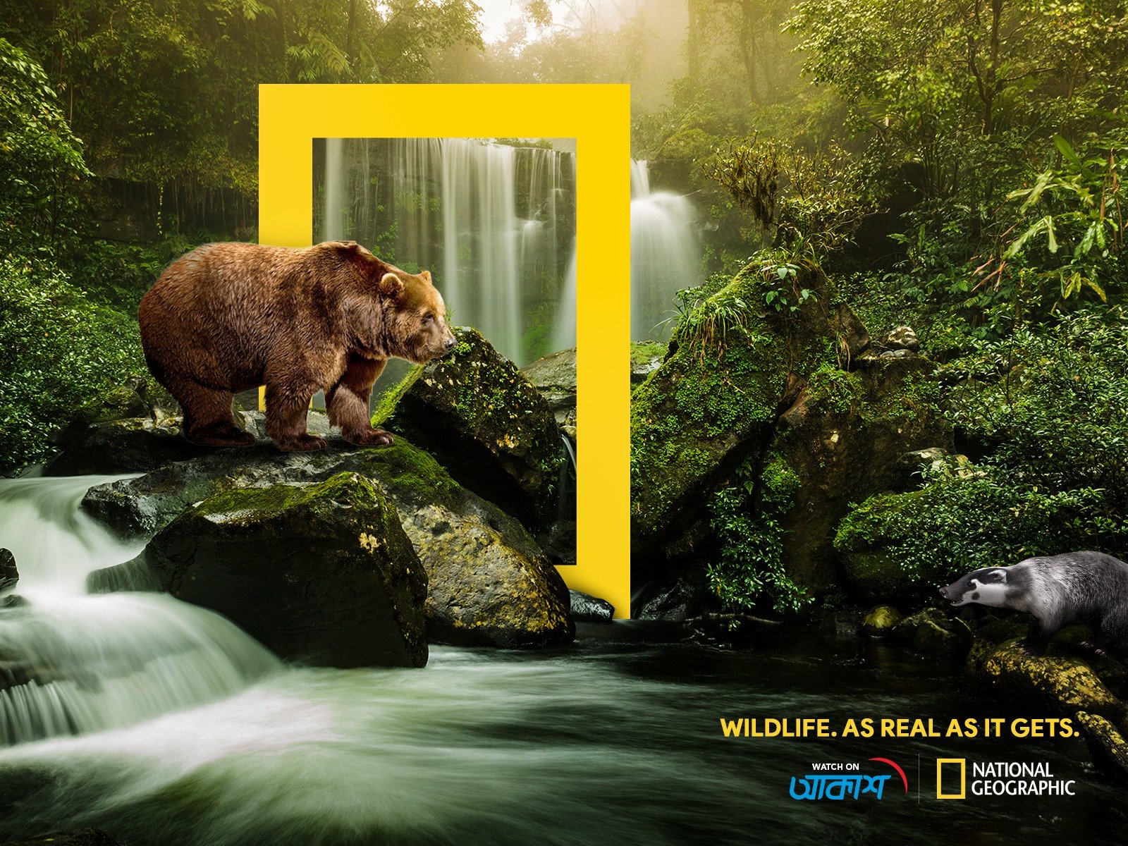 AKASH DTH STAR Channel Visual 1