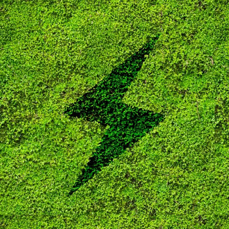 SPRINT Logo in Nature — Grass